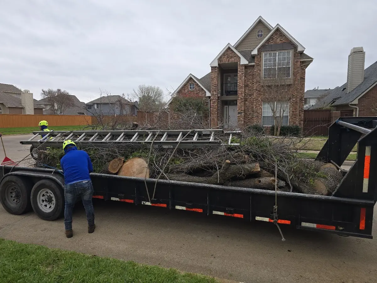 Expert Tree Pest Control with proper safety equipment in Waverly